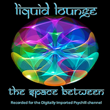 Liquid Lounge - The Space Between... (Digitally Imported Psychill)