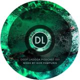 Igor Pampurin - Deep Ladoga Podcast 001 (Special Mix For Macromusic)