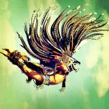 Fly Psycadelic