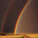 Serendipity of Mental Illness- Emotional Index of Feelings