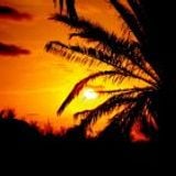 Nation2K - Ibiza Sunset