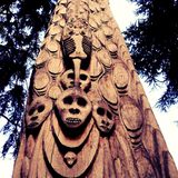 Tribal Vibration