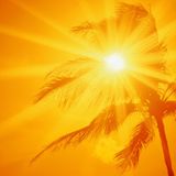 Sven Grosz - Let there be sun!