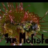 Bass In-Tensions ''Dubstep, Bass and Jungle'' set by *mr. Mefistou*