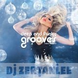 deep and funky grooves - mixed with love (Nu-Disco Indie Dance DJ Mixtape)