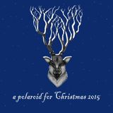 a polaroid for Christmas 2015