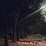 A Duck in a Tree 2013-11-16 | Static Movements