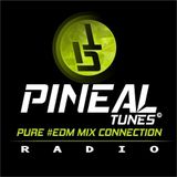 PINEAL TUNES RADIO MIX EDM 8 "Pure EDM Connection"