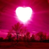 What Is Love Volume 5