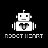 Behrouz - Live @ Robot Heart Burning Man 2012
