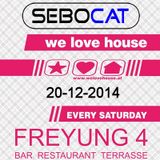 Sebocat - live @ we love house - Freyung 4 // 20-12-2014