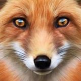 FoxXxy Need Love 2