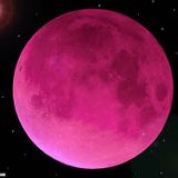 Pink Moon by Brooklyn Mike