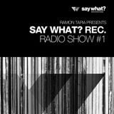 Ramon Tapia - Say What Recordings Podcast 001.