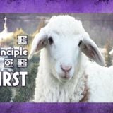 The Principle of the First - First series Part 3
