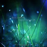 Diolenmobi - Inner Voice 9