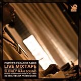 Slowly Man Sound - Pimper's paradise Radio (December 2013)