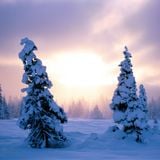 Winter 2011 // December