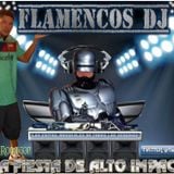 FLAMENCOS DJ- REGUETTON 1