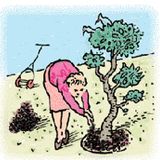 COMPOST OF LIFE 2001