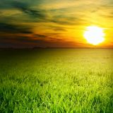 Relax with nature sounds