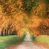 Edell - Autumn psyprog mix 2011