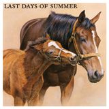 Last Days of Summer - House mix by Manuel Kim