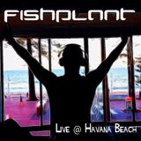 Los Gitanos Live @ Havana Beach Bar, Sydney