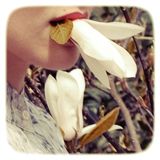 Spring 2013 Mix