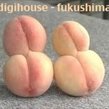 digihouse - fukushima