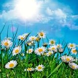 The Summer Mix