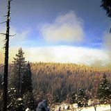 A Winter's Whaump