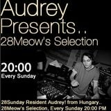 Erro guest mix to 28Meow's Selection on 28BLACK.FM