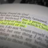 Laying Hold Of That, For Which Christ Laid Hold of Me.
