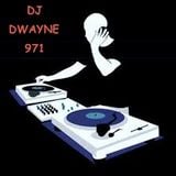 Dj Dwayne971 only girl's mix