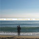 How_Beezar: Overfitting Mix /2013