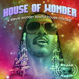 Hyjak Radio - House of Wonder ( A Stevie Wonder mixcast)