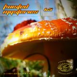 V.A. - Twisted Mysteries 1.5 - 2011 - MP3 - 03 - Atomgrinder - Dog Eggs.mp3