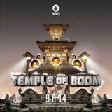 Temple of Boom 2 (Baltimore) sept 6 2014 - Future Reggae Dj set B.A.D.A.S.S. RAVE