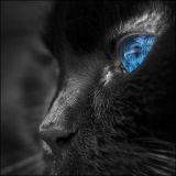 deephouse sensations vol.2