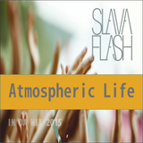 Atmospheric Life@Slava Flash In Da Mix 2015