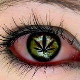 Marijuana Stun Podcast 001: Lam Si