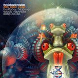 Lookingbreakz - Ufo Bufo 2015