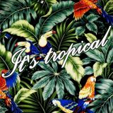 It's tropical vol.2