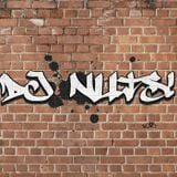 DJ Nuts in the Mix 55
