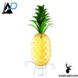 P.I.Ñ.A