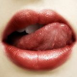 LTM - Session 8.3 (Female Vocals Edition)