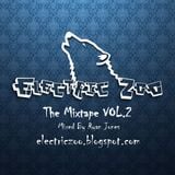 Electric Zoo : The Mixtape Vol.2