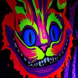 Live @ Down the Rabbit Hole (2015-04-18)