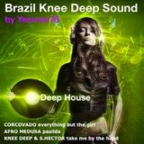 BRAZIL KNEE DEEP SOUND (Corcovado, Afro Medusa, Sharlene Hector)